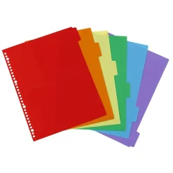Viquel - Intercalaire 6 positions - A4 Maxi - polypropylène coloré
