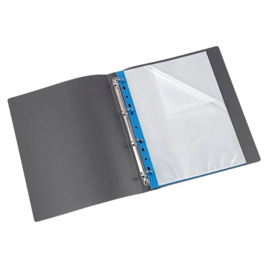 Viquel - Porte-vues perforé - 40 vues - A4 - bleu