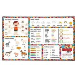 Viquel - Sous-main éducatif Anglais ou Energies renouvelables - 59,5 x 36,2 cm
