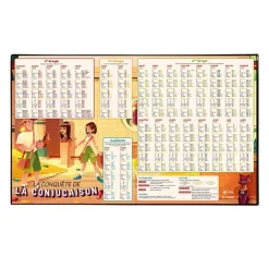 Viquel - Sous-main Educatif Conjugaison - 59,5 x 36,2 cm