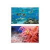 Viquel - Sous-main Poisson-clown ou Requin - 59,5 x 36,2 cm