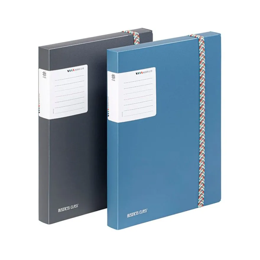 Viquel BUSINESS Class' - Boîte de Classement 30 mm - Pour Documents A4 (210 x 297 mm) et 240 x 320 mm - Disponible en Différents Coloris