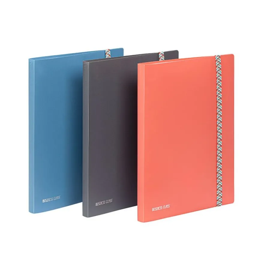 Viquel BUSINESS Class' - Porte vues - 30 compartiments - 60 vues - pour A4 (210 x 297 mm) - disponible en différents coloris