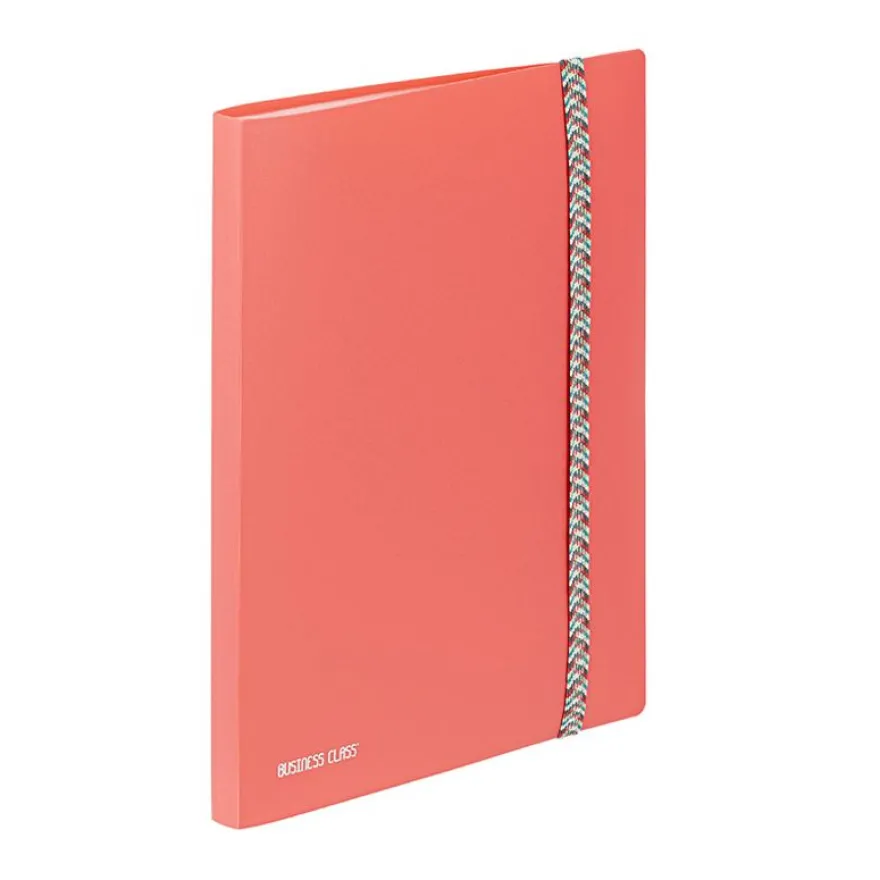 Viquel BUSINESS Class' - Porte vues - 30 compartiments - 60 vues - pour A4 (210 x 297 mm) - disponible en différents coloris