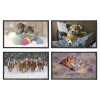 Viquel Fantaisie Animaux - Sous-main - 59,5 x 36,2 cm - PVC - disponible en différents coloris