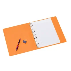 Viquel Happy Fluo - Classeur 4 anneaux - Dos 35 mm - A4 - pour 250 feuilles - disponible dans différentes couleurs
