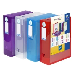 Viquel Propyglass - Boîte de classement personnalisable - dos 100 mm - disponible dans différentes couleurs