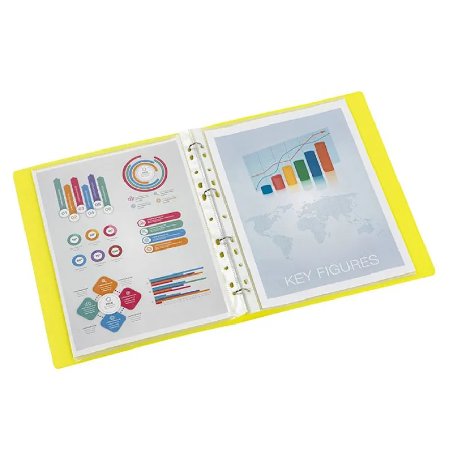 Viquel Propyglass - Classeur à anneaux - Dos 25 mm - A4 - disponible dans différentes couleurs