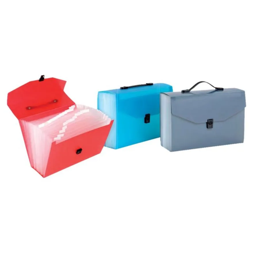 Viquel Propyglass - Valisette Trieur 24 compartiments - disponible dans différentes couleurs