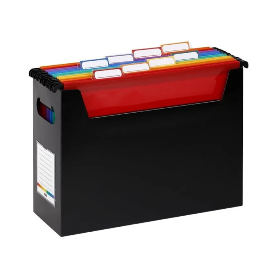 Viquel Rainbow - Boîte d'archivage Easycase avec poignées de transport + 8 dossiers suspendus amovibles