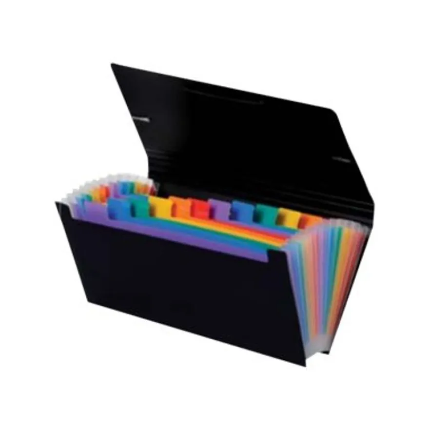 Viquel Rainbow Class - Trieur 12 positions - format chèque