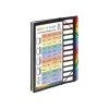 Viquel Rainbow Class - Trieur extensible 12 positions