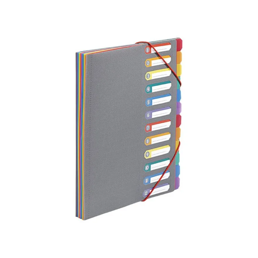 Viquel Rainbow Touch - Trieur 12 positions