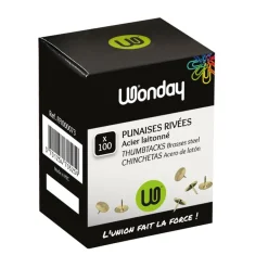 Wonday - 100 Punaises laitonnées (boîte)